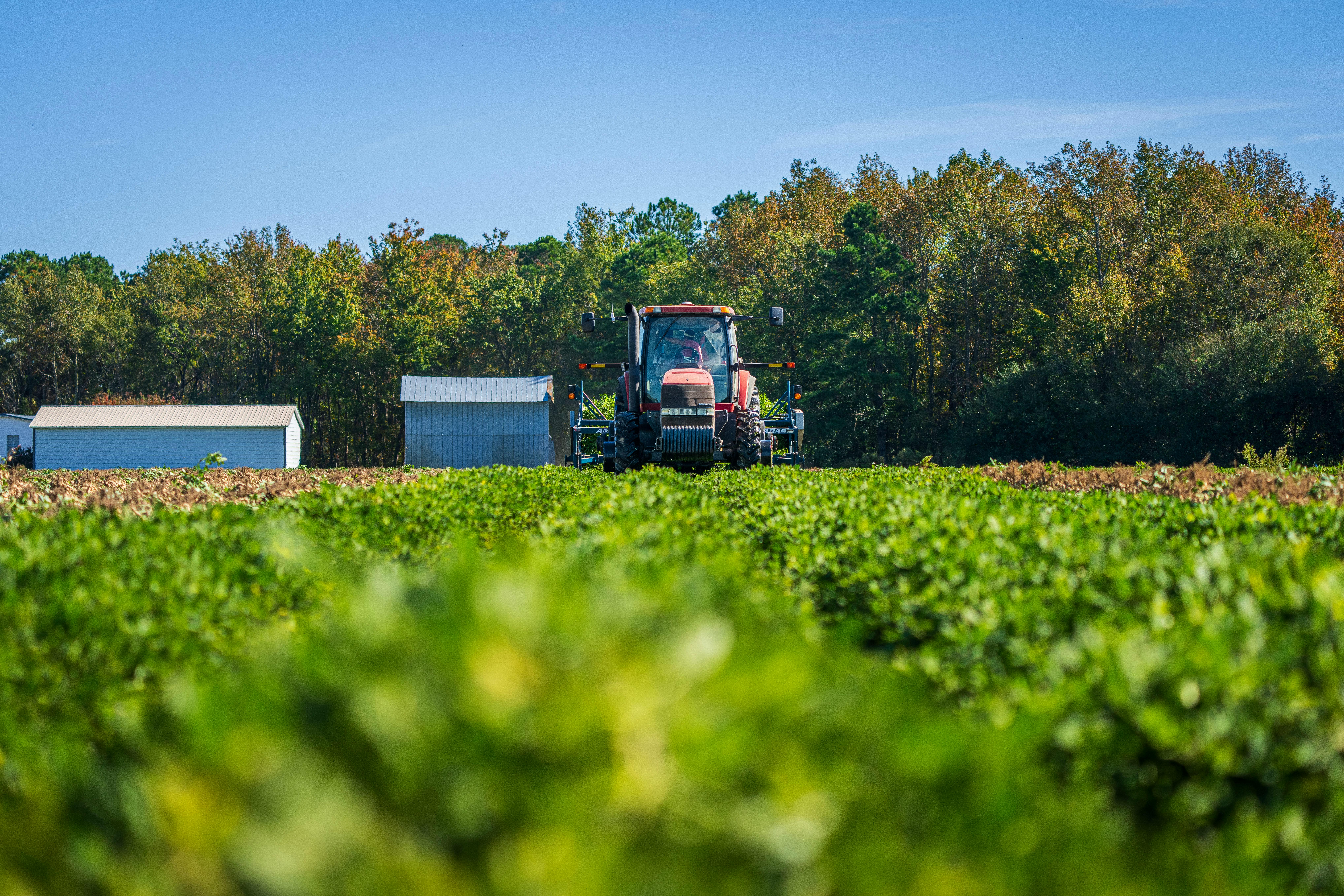 Agricultural field — EU agri-food supply chain